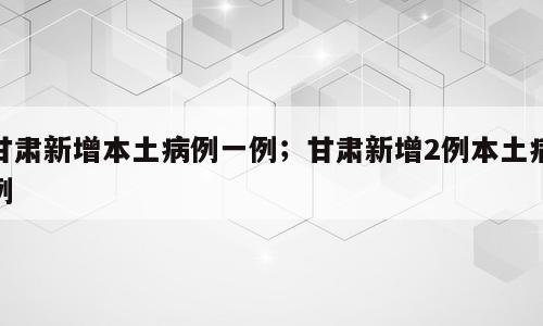 甘肃新增本土病例一例；甘肃新增2例本土病例