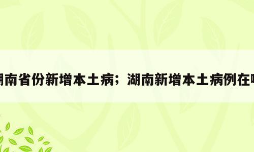 湖南省份新增本土病；湖南新增本土病例在哪