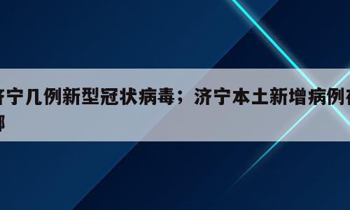 济宁几例新型冠状病毒；济宁本土新增病例在哪