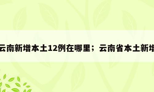 云南新增本土12例在哪里；云南省本土新增