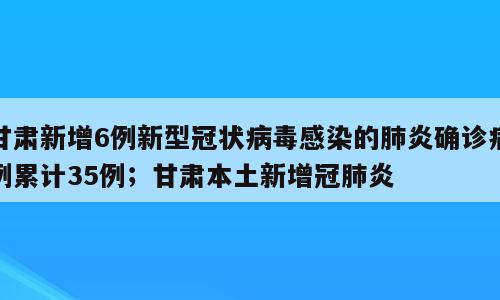 甘肃新增6例新型冠状病毒感染的肺炎确诊病例累计35例；甘肃本土新增冠肺炎