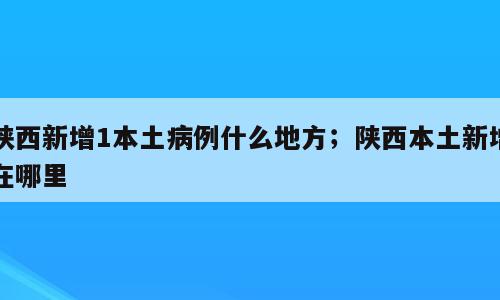 陕西新增1本土病例什么地方；陕西本土新增在哪里