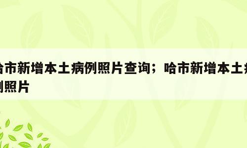 哈市新增本土病例照片查询；哈市新增本土病例照片