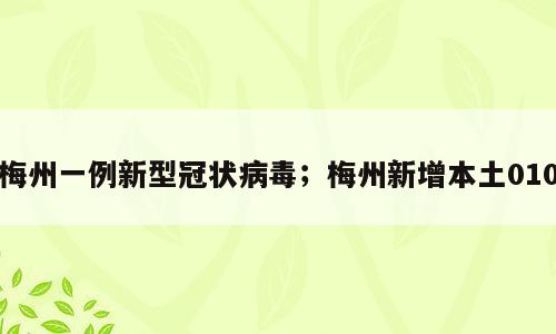 梅州一例新型冠状病毒；梅州新增本土010