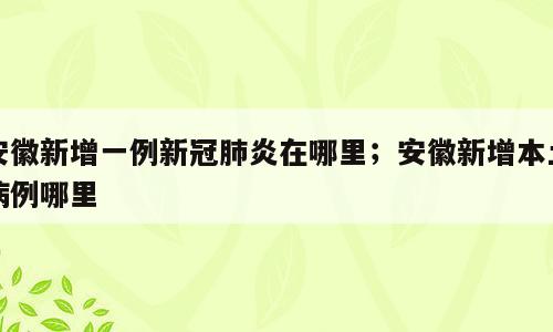 安徽新增一例新冠肺炎在哪里；安徽新增本土病例哪里