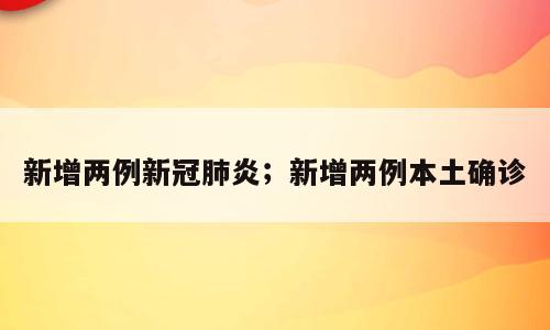新增两例新冠肺炎；新增两例本土确诊