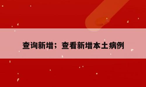 查询新增；查看新增本土病例
