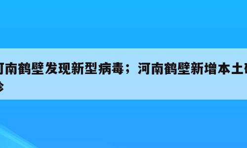 河南鹤壁发现新型病毒；河南鹤壁新增本土确诊