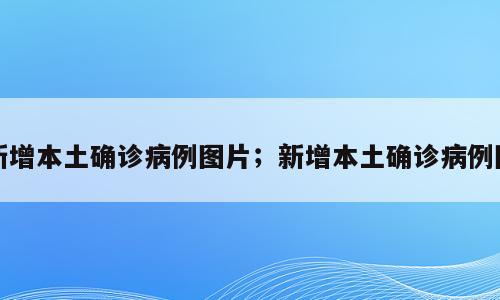 新增本土确诊病例图片；新增本土确诊病例图