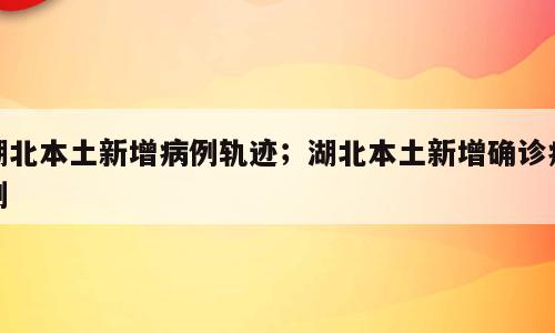 湖北本土新增病例轨迹；湖北本土新增确诊病例