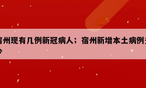 宿州现有几例新冠病人；宿州新增本土病例多少