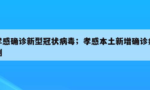孝感确诊新型冠状病毒；孝感本土新增确诊病例