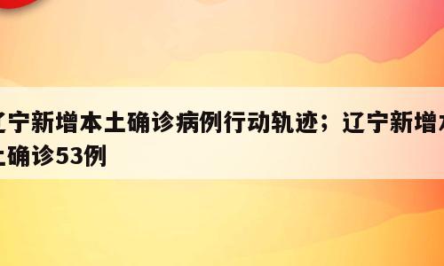 辽宁新增本土确诊病例行动轨迹；辽宁新增本土确诊53例