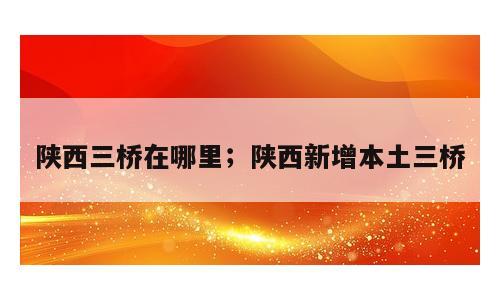 陕西三桥在哪里；陕西新增本土三桥