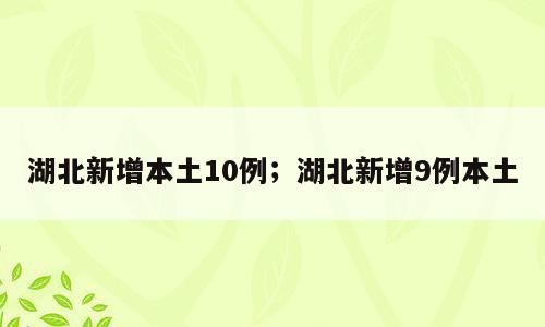 湖北新增本土10例；湖北新增9例本土