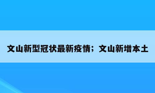 文山新型冠状最新疫情；文山新增本土