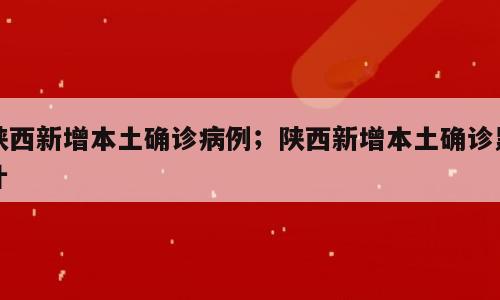 陕西新增本土确诊病例；陕西新增本土确诊累计