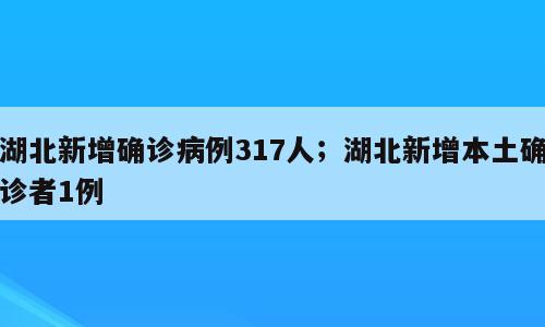 湖北新增确诊病例317人；湖北新增本土确诊者1例