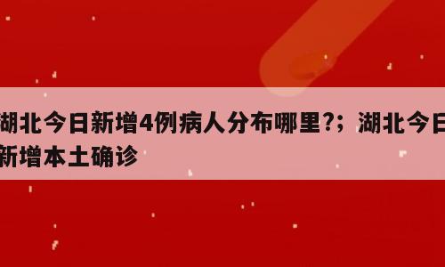 湖北今日新增4例病人分布哪里?；湖北今日新增本土确诊