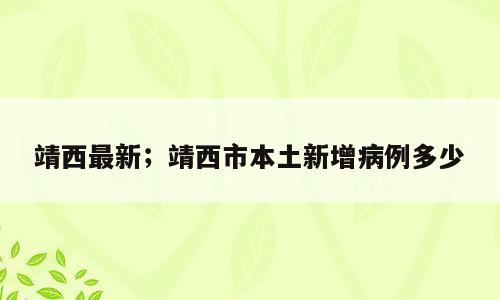 靖西最新；靖西市本土新增病例多少