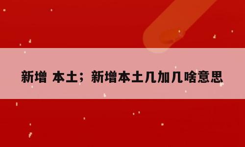 新增 本土；新增本土几加几啥意思