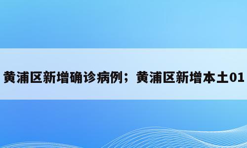 黄浦区新增确诊病例；黄浦区新增本土01