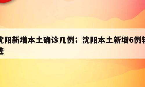 沈阳新增本土确诊几例；沈阳本土新增6例轨迹