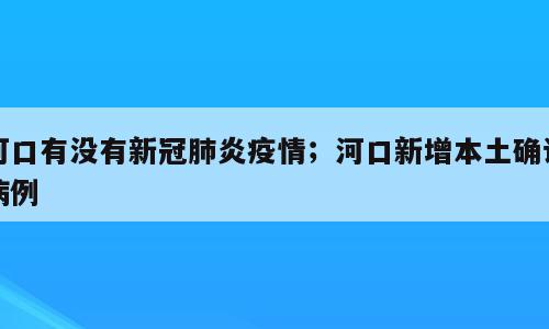 河口有没有新冠肺炎疫情；河口新增本土确诊病例