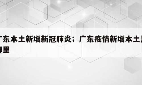 广东本土新增新冠肺炎；广东疫情新增本土是哪里