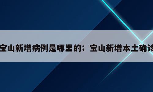 宝山新增病例是哪里的；宝山新增本土确诊