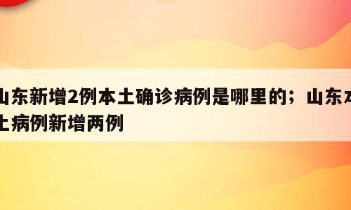 山东新增2例本土确诊病例是哪里的；山东本土病例新增两例