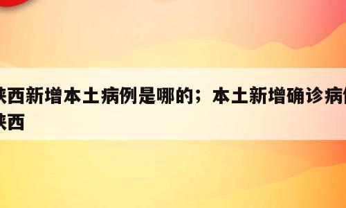 陕西新增本土病例是哪的；本土新增确诊病例陕西