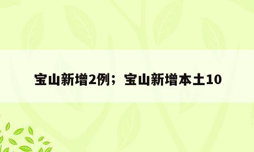 宝山新增2例；宝山新增本土10
