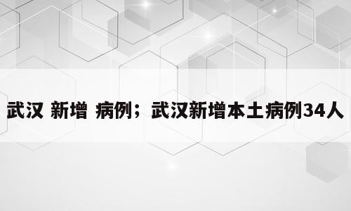 武汉 新增 病例；武汉新增本土病例34人
