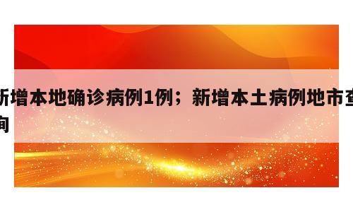 新增本地确诊病例1例；新增本土病例地市查询