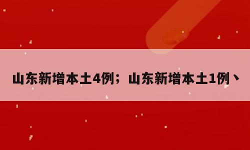 山东新增本土4例；山东新增本土1例丶