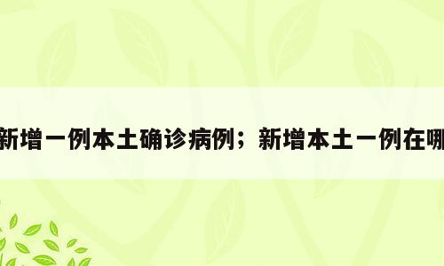 新增一例本土确诊病例；新增本土一例在哪