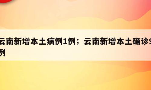 云南新增本土病例1例；云南新增本土确诊9例