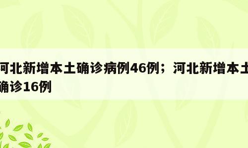 河北新增本土确诊病例46例；河北新增本土确诊16例