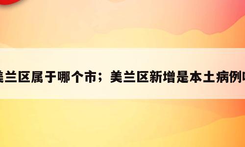 美兰区属于哪个市；美兰区新增是本土病例吗