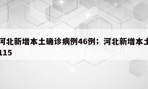 河北新增本土确诊病例46例；河北新增本土115
