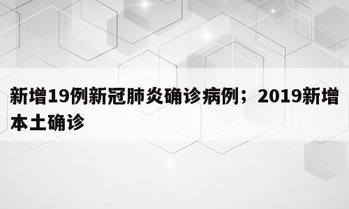 新增19例新冠肺炎确诊病例；2019新增本土确诊