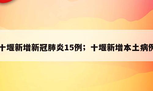 十堰新增新冠肺炎15例；十堰新增本土病例