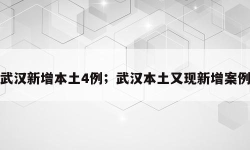 武汉新增本土4例；武汉本土又现新增案例