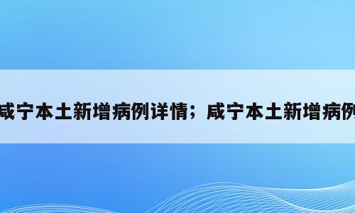 咸宁本土新增病例详情；咸宁本土新增病例
