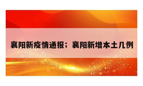 襄阳新疫情通报；襄阳新增本土几例