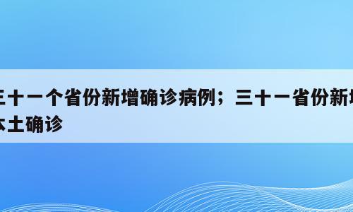 三十一个省份新增确诊病例；三十一省份新增本土确诊