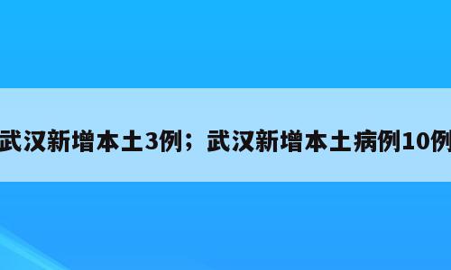 武汉新增本土3例；武汉新增本土病例10例