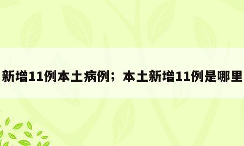 新增11例本土病例；本土新增11例是哪里