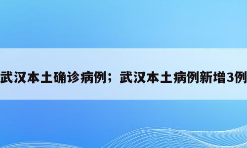 武汉本土确诊病例；武汉本土病例新增3例